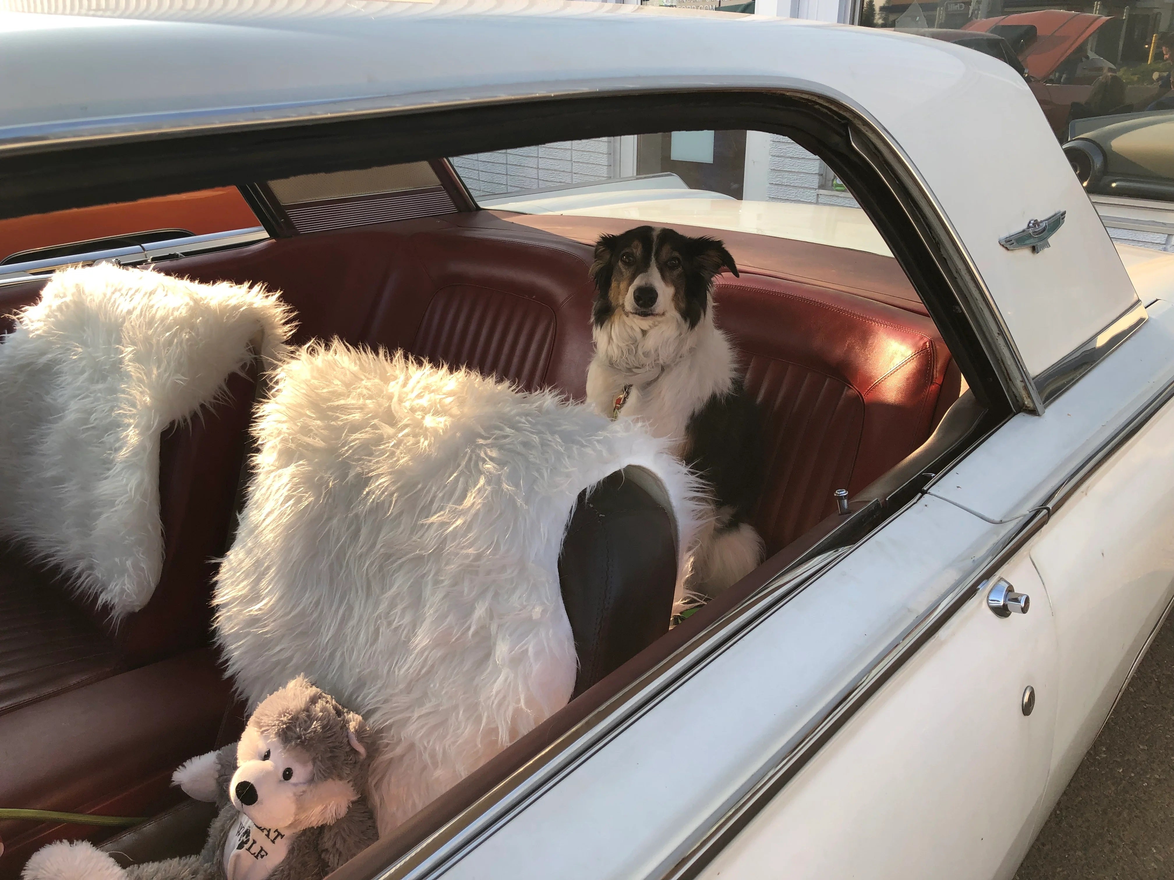 Power On Tower Muscle Car Show 2025