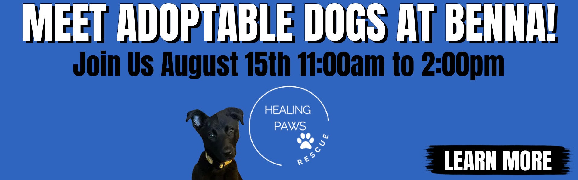 Healing Paws Rescue Adoption Event at Benna CDJR