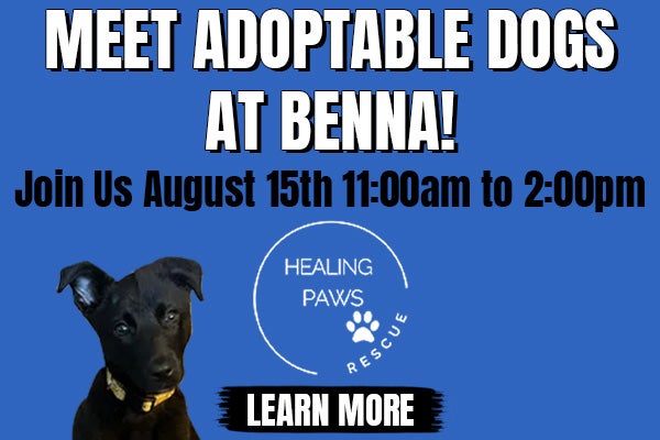 Healing Paws Rescue Adoption Event at Benna CDJR
