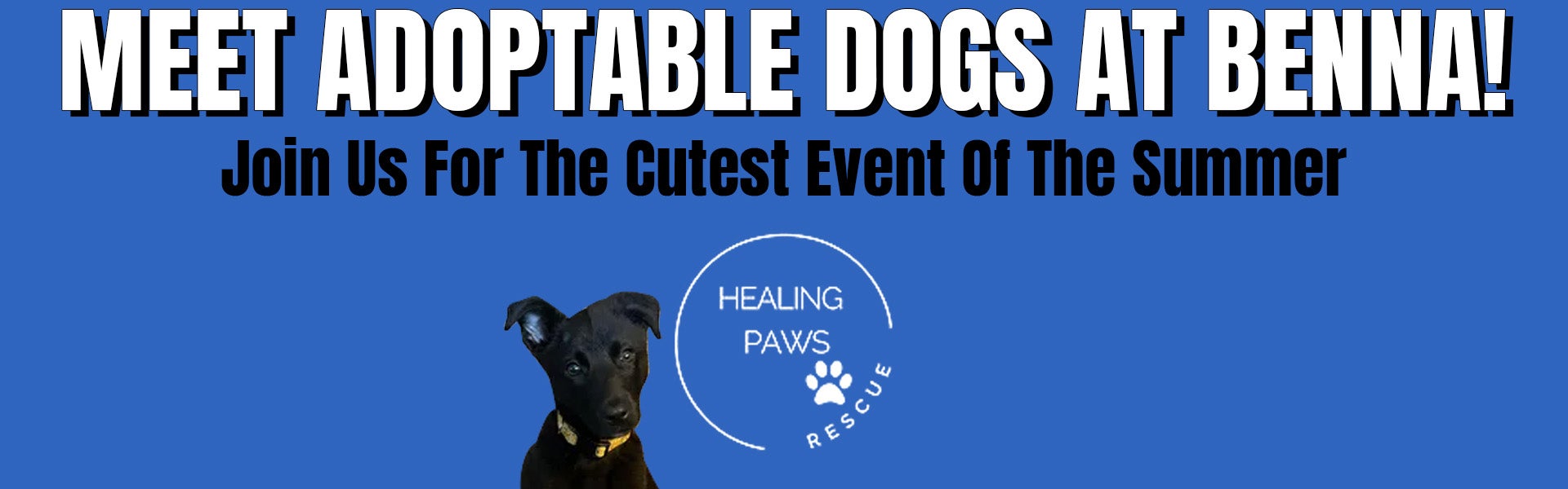 Healing Paws Rescue