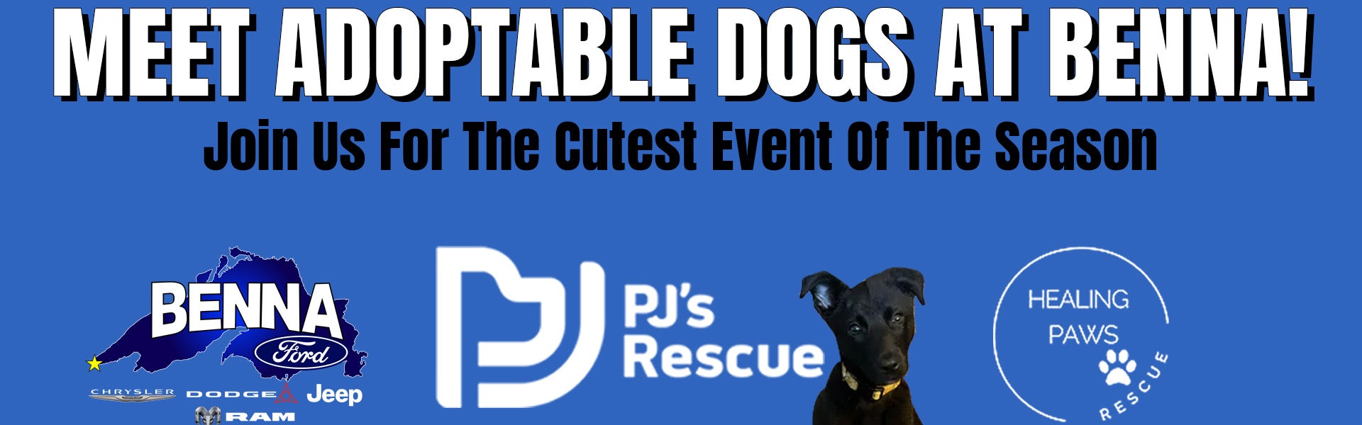 Puppy Adoption Event