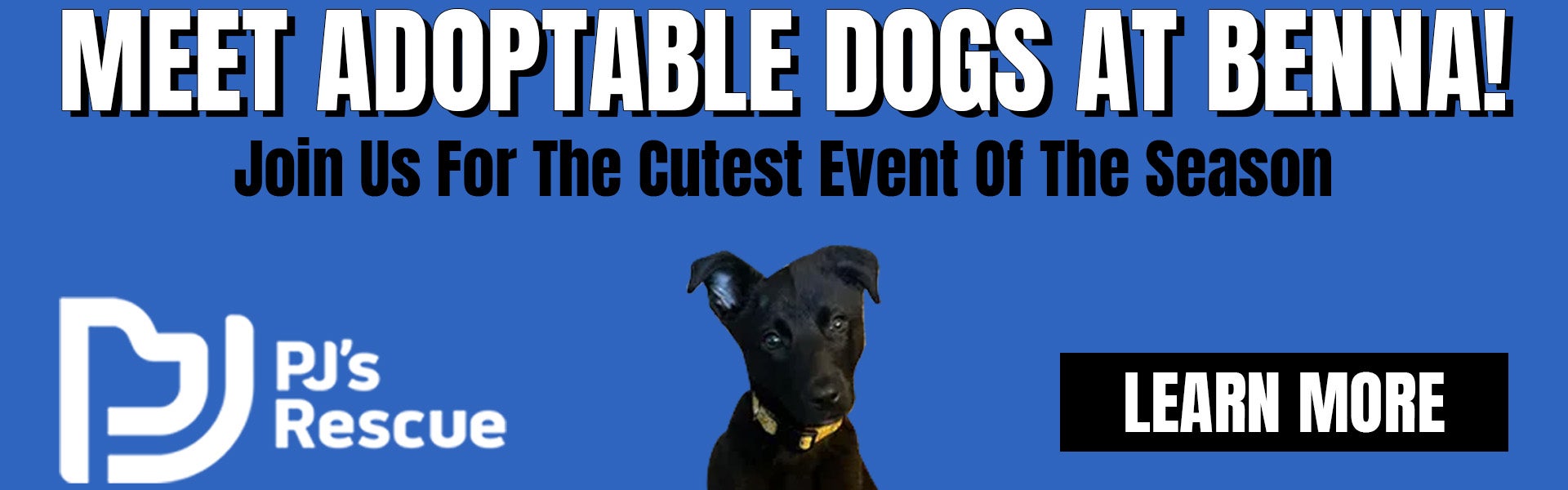Puppy Adoption Event | Benna CDJR