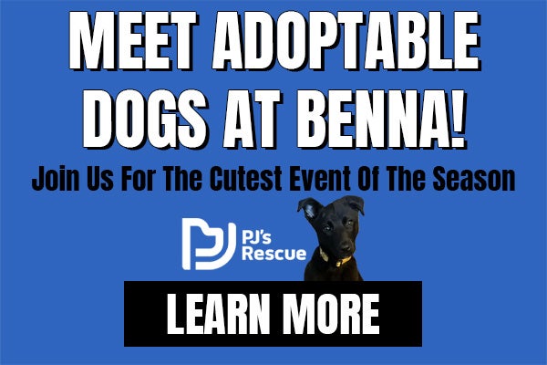Puppy Adoption Event | Benna CDJR