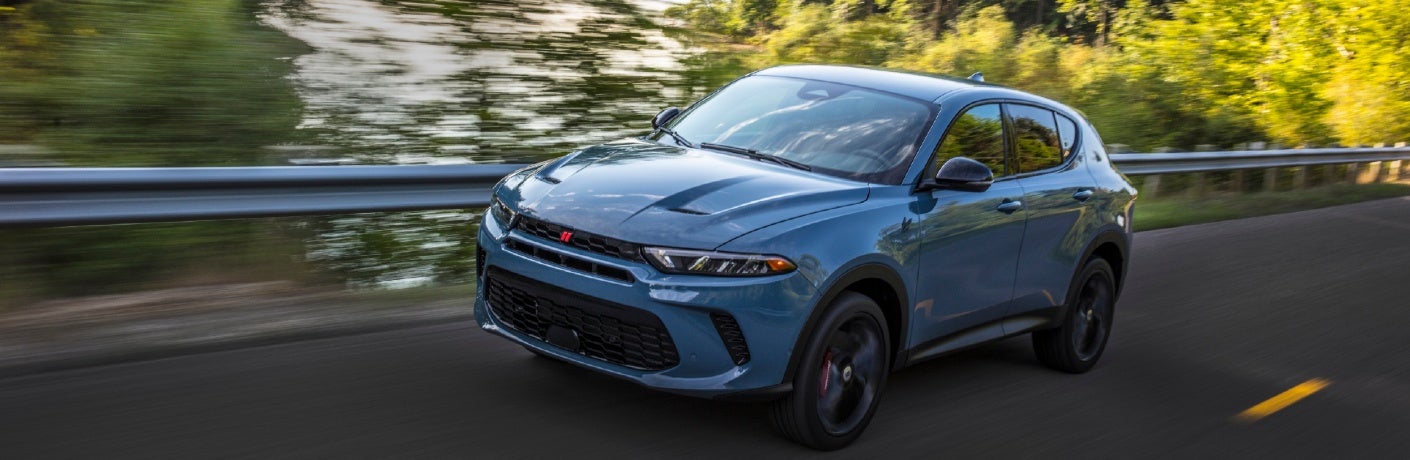 hornet on country road